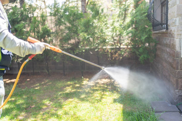 Best Wasp Removal Services  in Glasgow, DE
