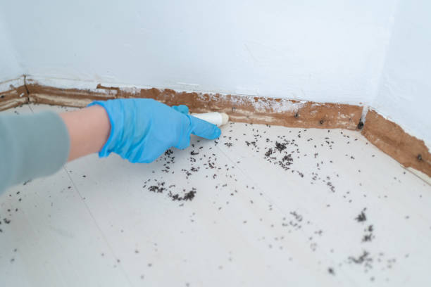 Best Pest Prevention Services  in Glasgow, DE