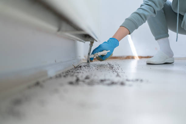 Best Wildlife Control Services  in Glasgow, DE