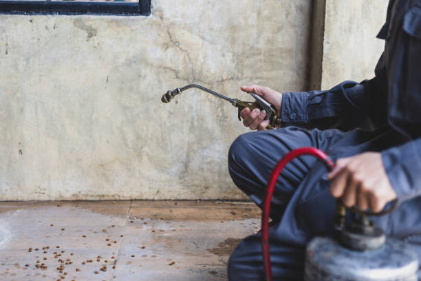 Best Rat Extermination Near Me  in Glasgow, DE